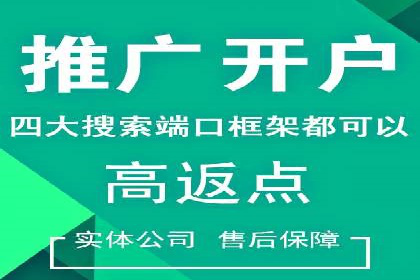 百度推广收费策略：案例分析及优化建议